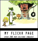 flickr_banner